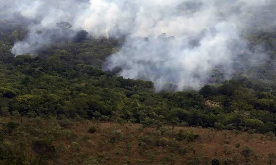Emissão global de gases por incêndios é a menor em 24 anos, revela levantamento do Observatório Copernicus