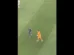 Goleiro do Paraguai foi ignorado por Mbappé e reação viraliza; veja