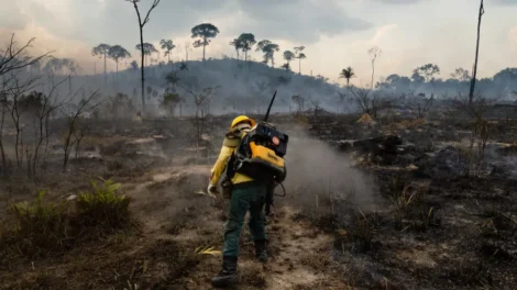 Homem é preso por iniciar 'pior incêndio da história' na região de Madri