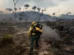 Homem é preso por iniciar 'pior incêndio da história' na região de Madri