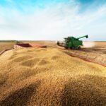 IBGE prevê safra de 347,4 milhões de toneladas para 2026