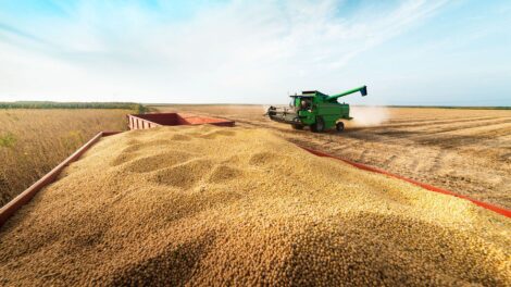 IBGE prevê safra de 347,4 milhões de toneladas para 2026