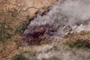 Imagens de satélite mostram antes e depois de incêndios em Espanha
