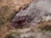 Imagens de satélite mostram antes e depois de incêndios em Espanha