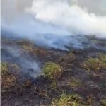 Incêndio ambiental atinge terreno na Av Guedner próximo a Unicesumar