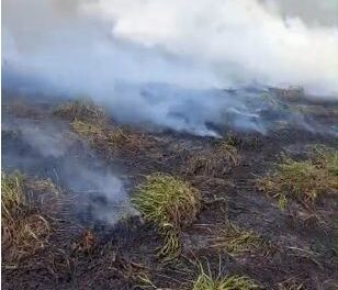 Incêndio ambiental atinge terreno na Av Guedner próximo a Unicesumar