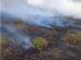 Incêndio ambiental atinge terreno na Av Guedner próximo a Unicesumar