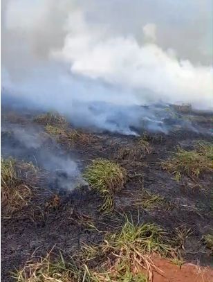 Incêndio ambiental atinge terreno na Av Guedner próximo a Unicesumar