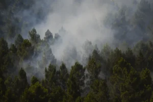 Incêndio na Espanha queima 13 mil hectares e expulsa centenas de casa