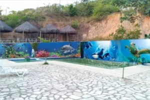 Menino de 7 anos morre afogado em piscina de parque aquático em Olinda