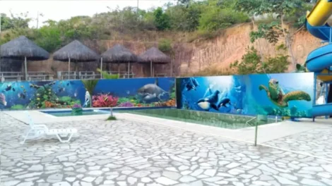 Menino de 7 anos morre afogado em piscina de parque aquático em Olinda