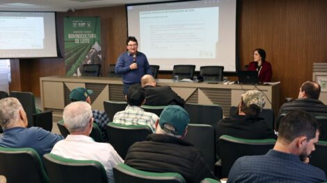 Mercado futuro do leite garante benefícios aos pecuaristas brasileiros