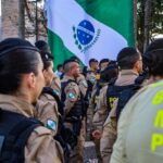 Paraná tem terceira maior queda de homicídios do Brasil, aponta Anuário da Segurança Pública