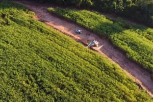 Pesquisa traz dados que contribuem para o manejo do solo de arenito no Paraná