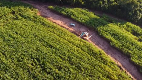 Pesquisa traz dados que contribuem para o manejo do solo de arenito no Paraná