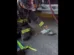 Pombo recebe oxigênio de bombeiros após inalar fumaça em incêndio; veja