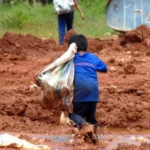 Somente três estados têm plano vigente contra o trabalho infantil