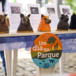 Um dia no Parque promove aula de yoga e observação de aves
