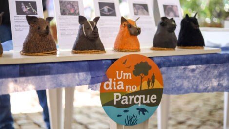 Um dia no Parque promove aula de yoga e observação de aves