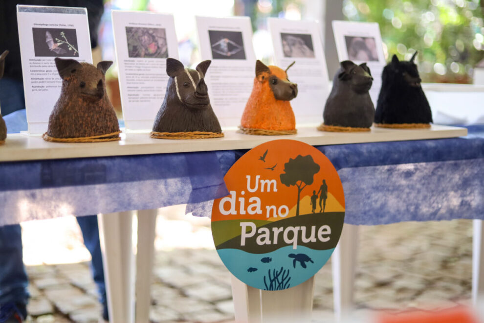 Um dia no Parque promove aula de yoga e observação de aves