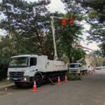 Copel realiza mutirão de podas em árvores de grande porte neste fim de semana em Maringá