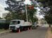 Copel realiza mutirão de podas em árvores de grande porte neste fim de semana em Maringá