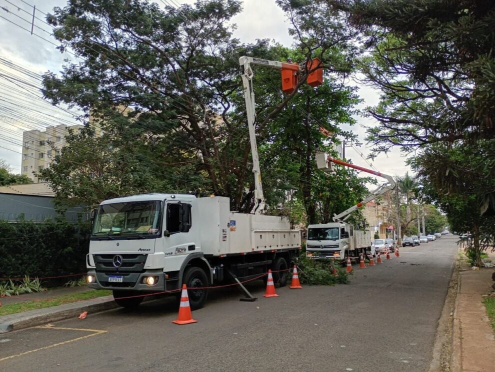 Copel realiza mutirão de podas em árvores de grande porte neste fim de semana em Maringá