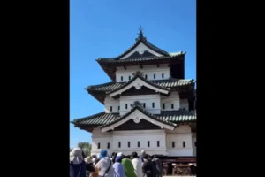 1.800 pessoas puxam castelo de 360 toneladas de volta ao lugar no Japão