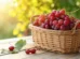 5 frutas ricas em antioxidantes que ajudam a proteger a saúde do corpo