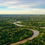 Alertas de desmatamento na amazônia caem ao menor patamar da série histórica