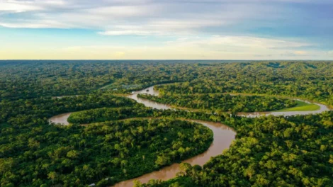 Alertas de desmatamento na amazônia caem ao menor patamar da série histórica