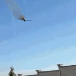 Avião de pequeno porte pega fogo e cai em MG; piloto foi socorrido com vida