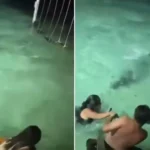 Banhistas escapam de crocodilo durante banho noturno em resort; vídeo