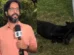 Cachorro perdido invade reportagem ao vivo da Globo e é reconhecido e resgatado por tutora