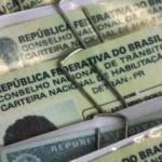Câmara aprova cassar CNH de quem usar carro para abandonar animais na rua
