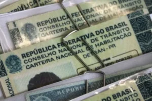 Câmara aprova cassar CNH de quem usar carro para abandonar animais na rua