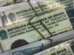Câmara aprova cassar CNH de quem usar carro para abandonar animais na rua