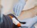 Campanha busca ampliar doações de sangue em Maringá