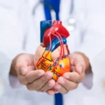 Cardiologistas destacam alimento que pode ajudar a proteger o coração