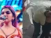 Caso de assédio em grupo musical choca o Peru; cantora registra queixa