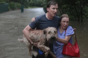 Chuva e ventos fortes: Como se preparar para temporais