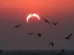 Coisas estranhas que ocorrem durante um Eclipse Solar
