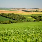 Conservação do solo transforma chuva em produtividade em propriedades rurais do Paraná