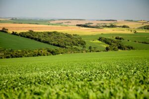 Conservação do solo transforma chuva em produtividade em propriedades rurais do Paraná