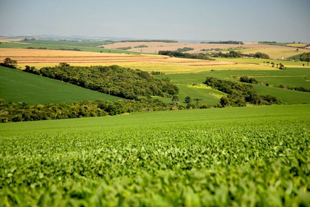Conservação do solo transforma chuva em produtividade em propriedades rurais do Paraná
