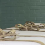 EUA podem executar 3 presos hoje pela primeira vez em 16 anos