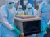 Ebola avança na República Democrática do Congo e já deixa 1.751 mortos
