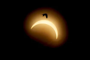 Eclipse total transforma o dia em noite na Europa; veja fotos do fenômeno
