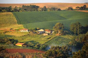 Está aberto o prazo para os produtores rurais declararem o ITR 2026