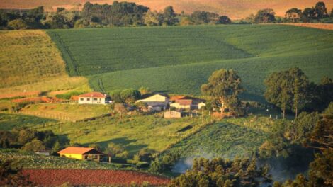 Está aberto o prazo para os produtores rurais declararem o ITR 2026